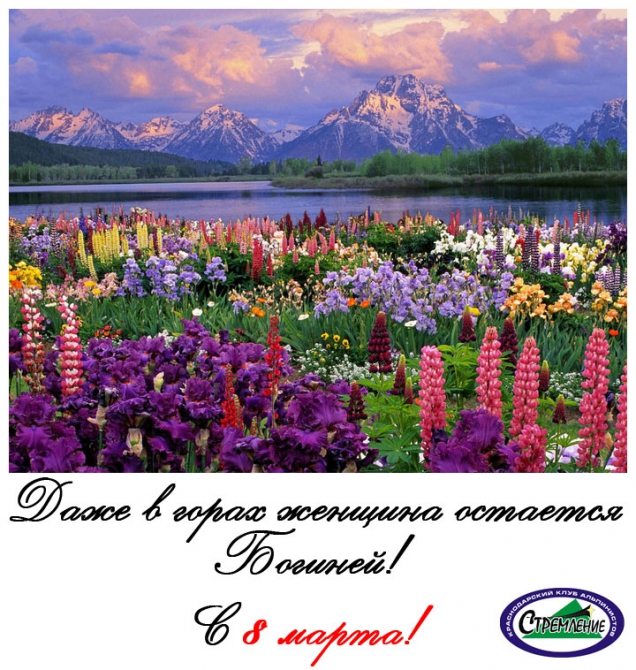 С Праздником! (8 марта, клуб стремление, краснодар)
