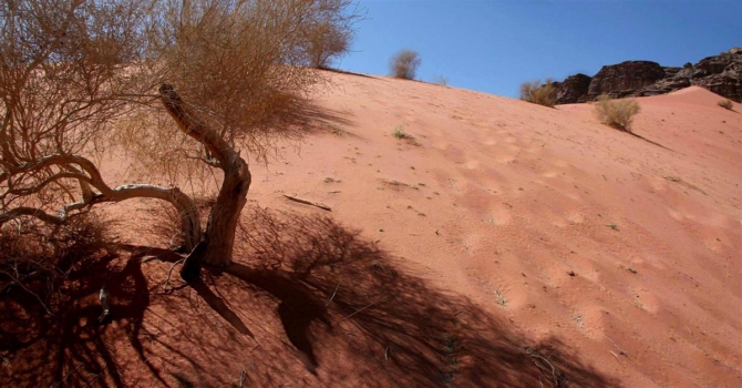 Вади Рам глазами хайкера. (Путешествия, иордания, jordan women)