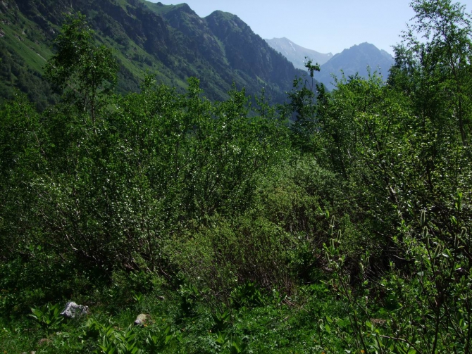 Плутёж, блудёж, хрен поймёшь - 4 и 5 (Хутый, Альпинизм, соло, медведи)