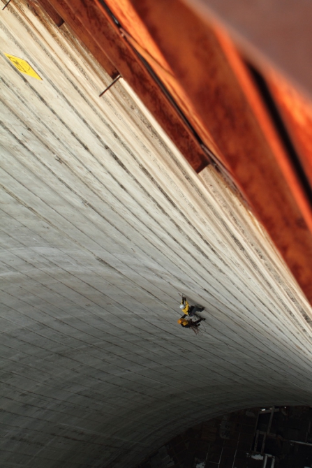 COOLER (Альпинизм, scarpa, покрамович, нефедов, toppoint, ковалева, рапт, rapt, drytooling, grivel, sivera, микст)