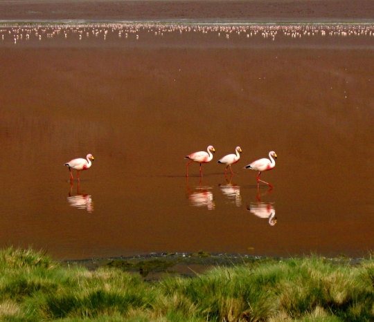 Салар де Уюни. Не забудьте посмотреть в зеркало. (Путешествия, туризм. боливия. салар де уюни, путешествия)