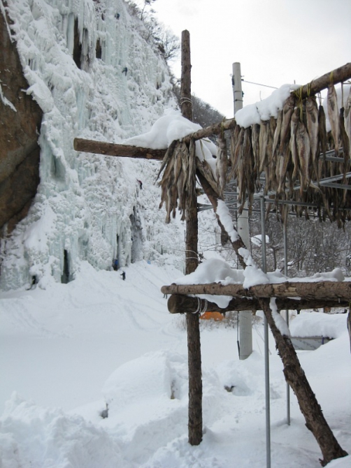 Похождения русских ледолазов в Корее (Ледолазание/drytoolling, корея, iceclimbing, сорак, товаг, товагсан, seoraksan, competition, гильдия ледолазов хабаровска, seoracsan)