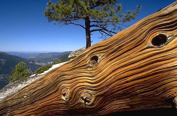 THE BIRD - Легенда и реальность... (Альпинизм, джим бридвелл, эл капитан. сша, йосемиты)