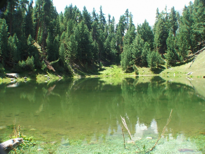 Тропами контрабандистов (Альпинизм, пакистан, экология, лес)
