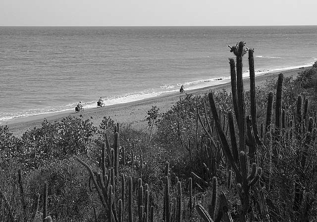 Куба, Куба, Кубана… (Вело, велосипед)