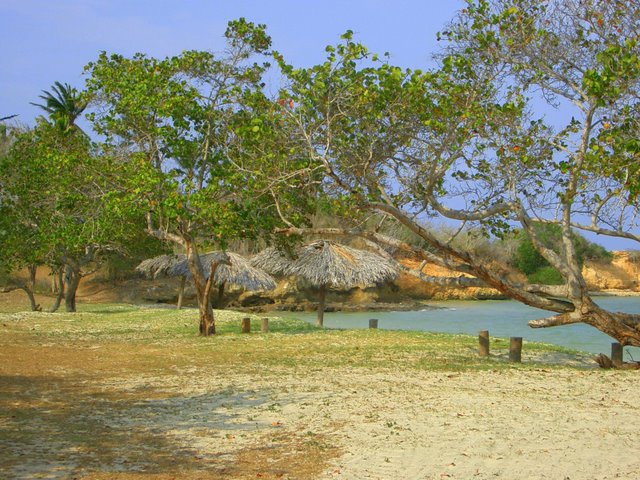 Куба, Куба, Кубана… (Вело, велосипед)