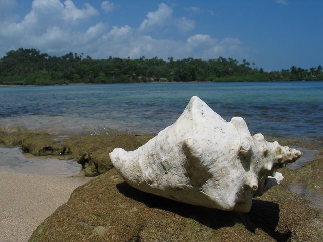 Куба, Куба, Кубана… (Вело, велосипед)