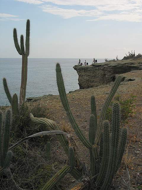Куба, Куба, Кубана… (Вело, велосипед)