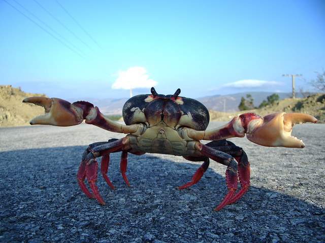 Куба, Куба, Кубана… (Вело, велосипед)