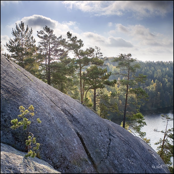 ПРОБЛЕМЫ ОЗЕРА ЯСТРЕБИНОЕ: НОВОСТИ НЕУТЕШИТЕЛЬНЫ.