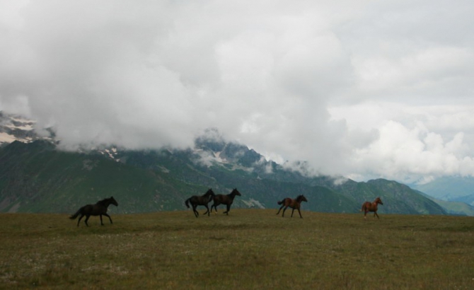 По следам Воронцова-Вельяминова (Альпинизм, архыз, псыш, софия)