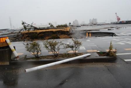 Япония (риск, радиация)