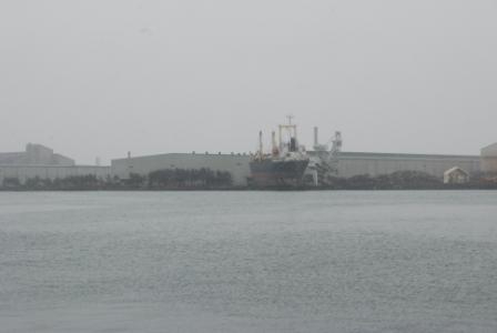 Япония (риск, радиация)