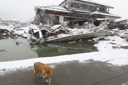 Япония (риск, радиация)