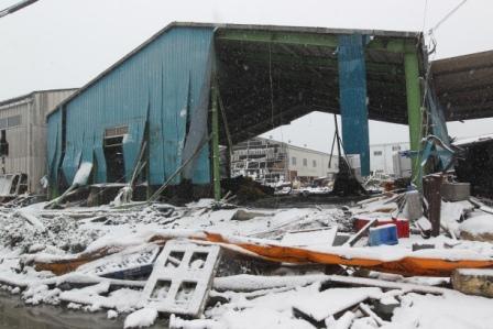 Япония (риск, радиация)