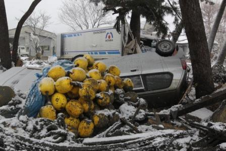 Япония (риск, радиация)