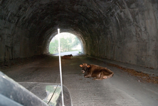 Гамарджоба, Сакартвело! (Путешествия, сванети, грузия)