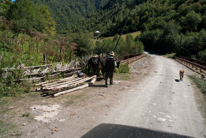 Гамарджоба, Сакартвело! (Путешествия, сванети, грузия)