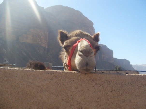 Jordan Women. Wadi Rum. (Альпинизм, путешествия, альпинизм)