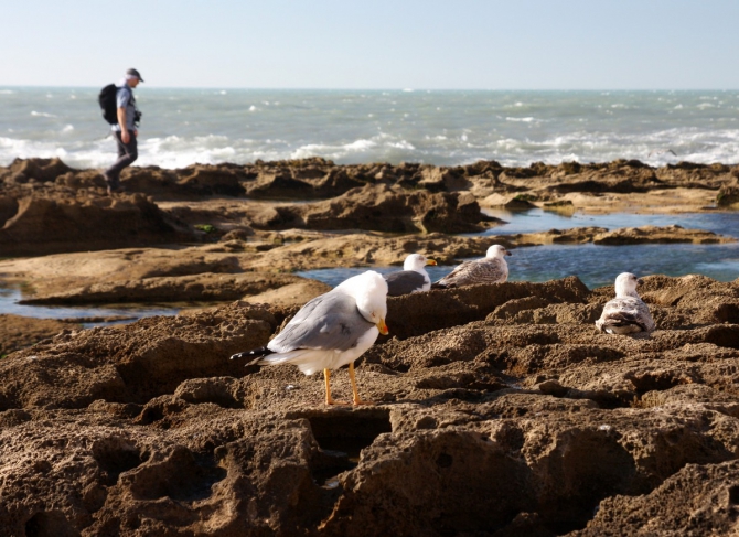 Скитур в Марокко. О лыжах, осликах и апельсинах... (Ски-тур)