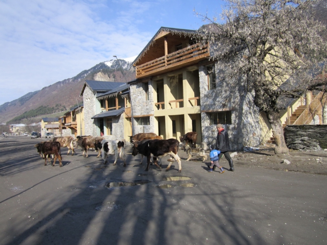 Я вернулась в Сванетию... (Бэккантри/Фрирайд, тетнульди, шхара, местия, сванетия, ушба)