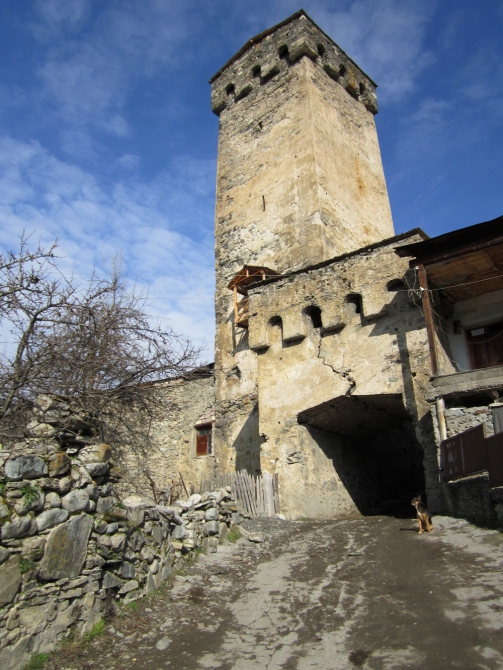 Я вернулась в Сванетию... (Бэккантри/Фрирайд, тетнульди, шхара, местия, сванетия, ушба)