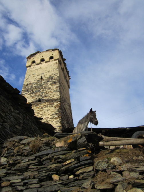 Я вернулась в Сванетию... (Бэккантри/Фрирайд, тетнульди, шхара, местия, сванетия, ушба)