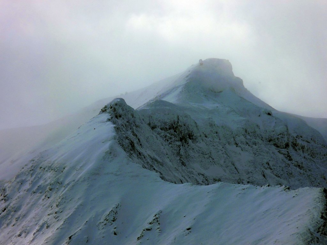 Risk Team. Финал. Голосуем! (adidas, риск.ру, проекты, голосование, risk.ru, мы в обществе)