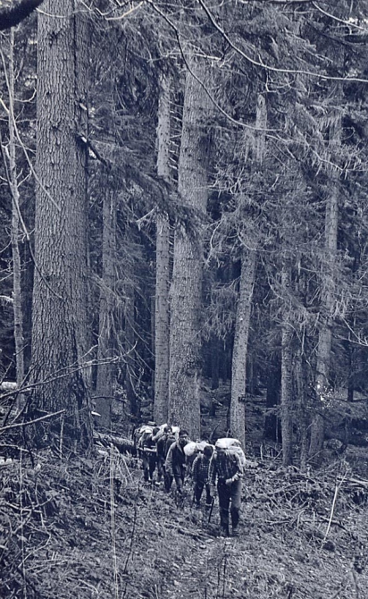 ГОРНЫЕ ТРОПЫ АКАДЕМИКА ТРУТНЕВА (Горный туризм)