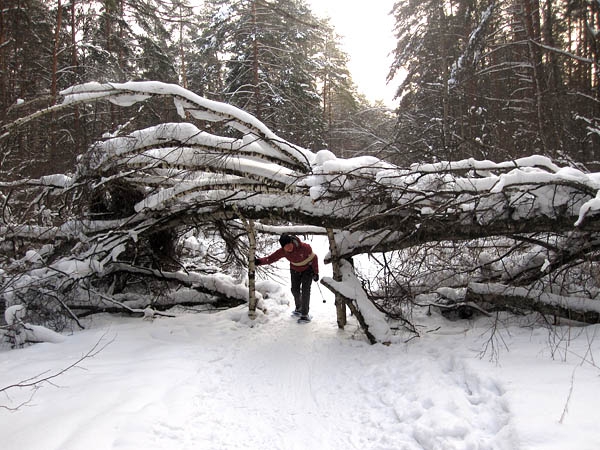 Ступня России в Ромашково. Фото прогулки - обзор местности. (Мультигонки, снегоступы)