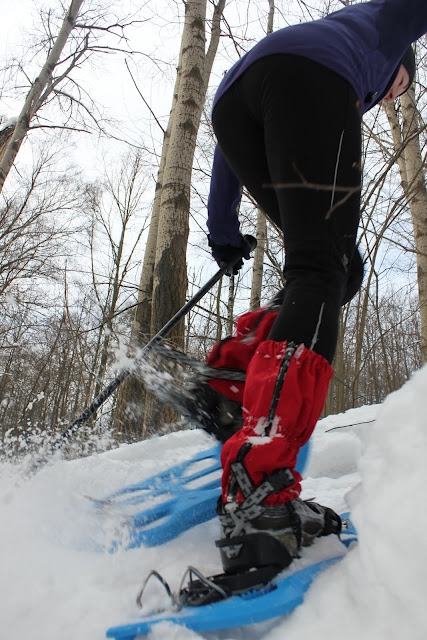 Ступня России - 2012. Как это было... (Снегоступинг, tsl, снегоступы, ромашково, снегоступинг)