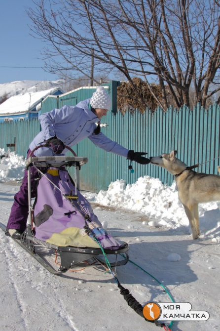 "Берингия 2012" и ски-тур на Камчатке. (ски-альпинизм, камчатка, камчатский ски-альпинизм, ski-mountainering)