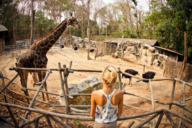 Скалолазание в Таиланде: Чиангмай (climbing in north thailande, sivera-team, скалолазание на севере таиланда, северный таиланд, chiang mai, скалолазание в чиангмае, rapt-team, андрей нефёдов, rapt, нефедов, grivel, sivera)