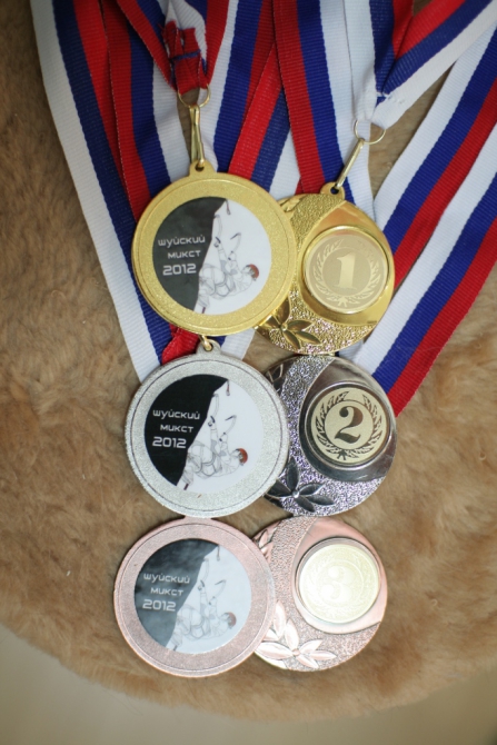 Ледолазание в Петрозаводске 2012 (Ледолазание/drytoolling, фас рк, krukonogi.com, шуйские скалы, mixt)