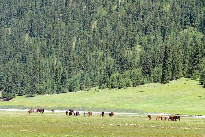 Backcountry лагерь. Терскей 2012. Анонс (Бэккантри/Фрирайд, слава мирошкин, павел воробьев, mountainpro, camp, ski-tour, freeride, киргизия)