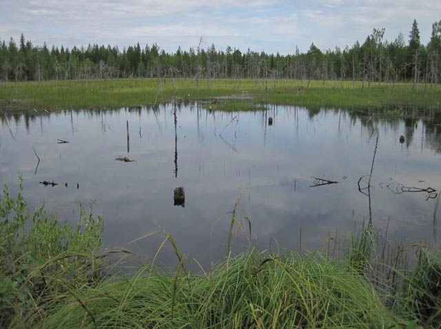 «Red Fox Adventure Race 2012» соединит в себе все лучшее (Мультигонки, мультиспорт, константин бекетов, карелия)