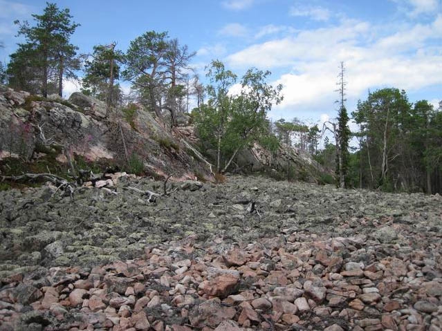 «Red Fox Adventure Race 2012» соединит в себе все лучшее (Мультигонки, мультиспорт, константин бекетов, карелия)