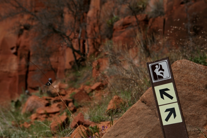 Zion Woman. Сегодня стартовали первые две команды спортсменов (Альпинизм, zion women climbing fest)