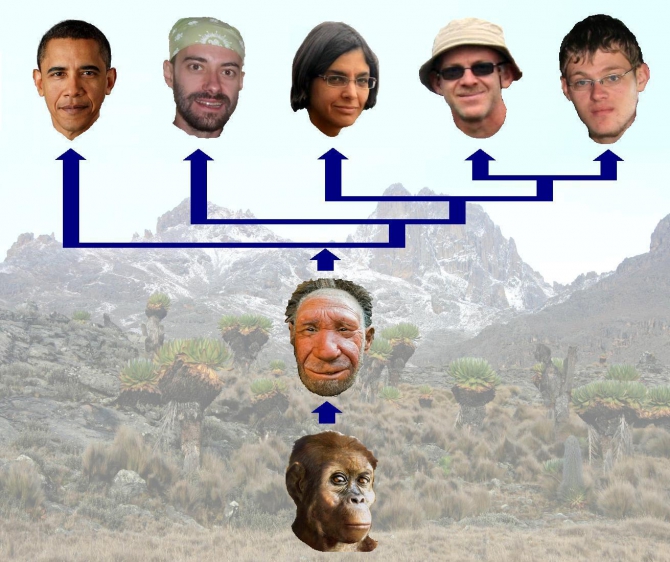 Путешествие в колыбель Обамы и всего человечества (Горный туризм, абердаре, батиан, кения, африка)