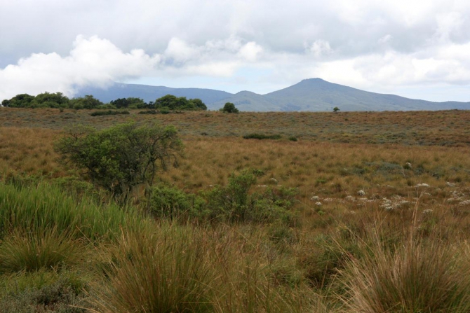 Абердаре (Путешествие в колыбель Обамы - 2, Горный туризм, африка, кения, батиан)