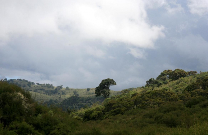 Абердаре (Путешествие в колыбель Обамы - 2, Горный туризм, африка, кения, батиан)