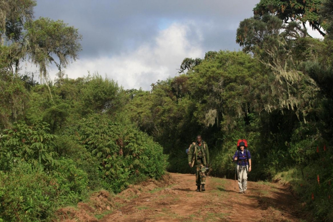 Абердаре (Путешествие в колыбель Обамы - 2, Горный туризм, африка, кения, батиан)