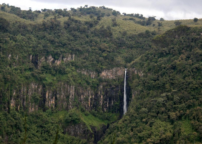 Абердаре (Путешествие в колыбель Обамы - 2, Горный туризм, африка, кения, батиан)