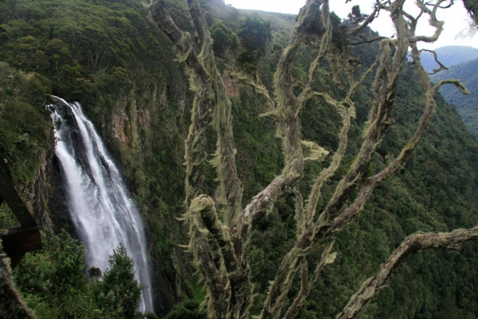 Абердаре (Путешествие в колыбель Обамы - 2, Горный туризм, африка, кения, батиан)