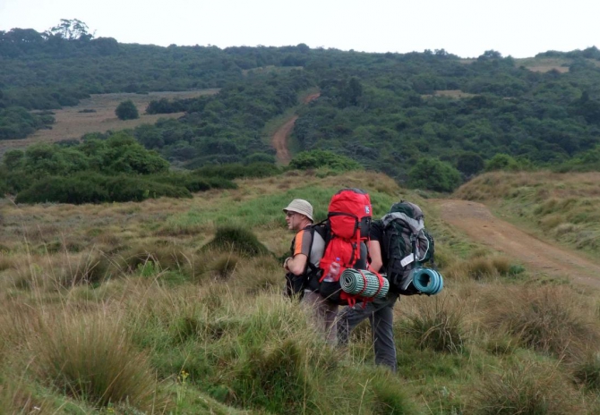 Абердаре (Путешествие в колыбель Обамы - 2, Горный туризм, африка, кения, батиан)