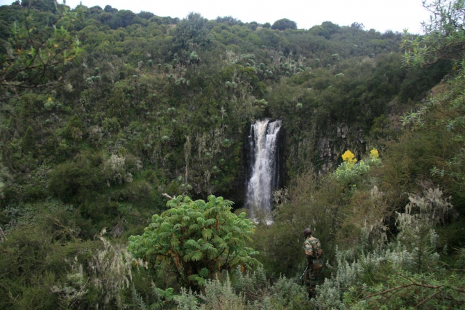 Абердаре (Путешествие в колыбель Обамы - 2, Горный туризм, африка, кения, батиан)