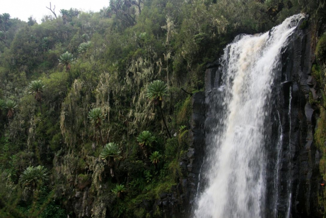 Абердаре (Путешествие в колыбель Обамы - 2, Горный туризм, африка, кения, батиан)