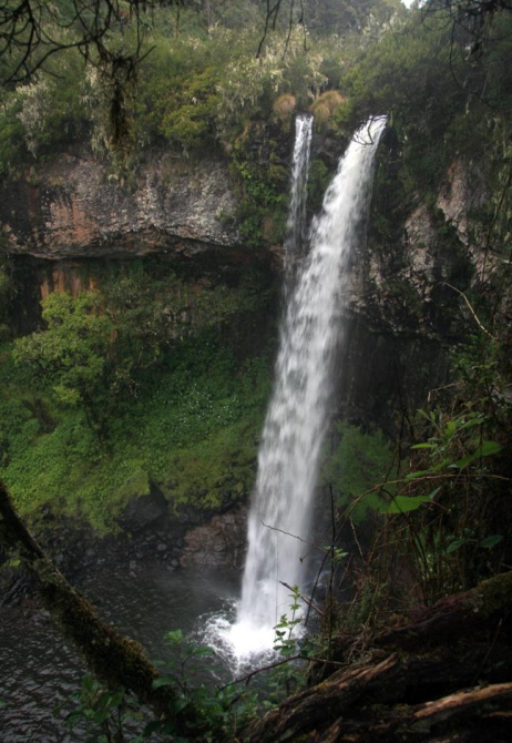 Абердаре (Путешествие в колыбель Обамы - 2, Горный туризм, африка, кения, батиан)