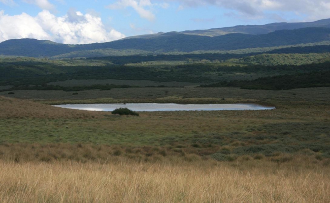 Абердаре (Путешествие в колыбель Обамы - 2, Горный туризм, африка, кения, батиан)