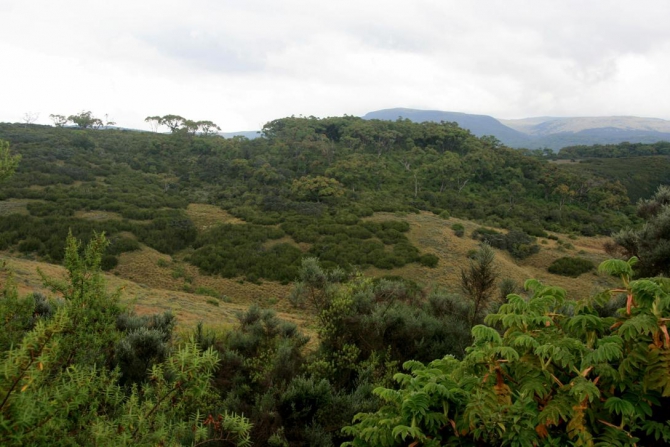 Абердаре (Путешествие в колыбель Обамы - 2, Горный туризм, африка, кения, батиан)